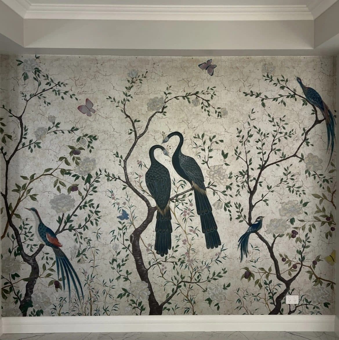 WQM Group wallpaper project in Canberra
